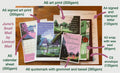 Past Liminal Mail Edition – Pride & Prejudice